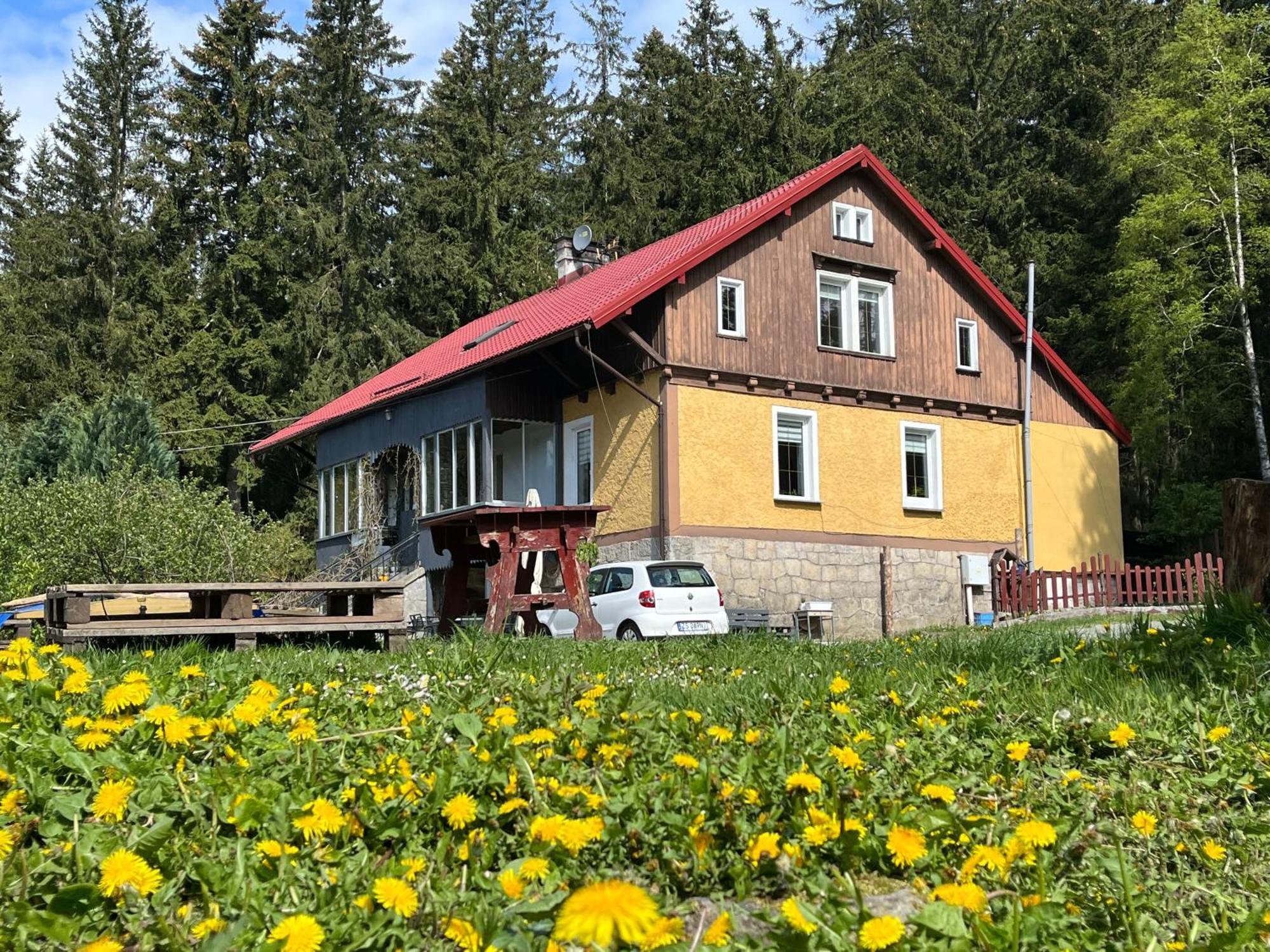 W Lesie * Kudowa-Zdrój